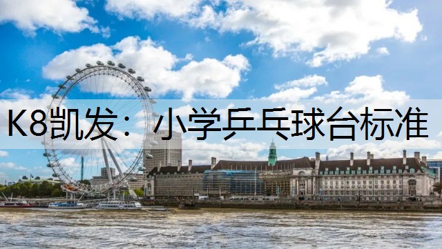K8凯发：小学乒乓球台标准