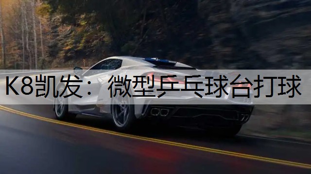 K8凯发：微型乒乓球台打球