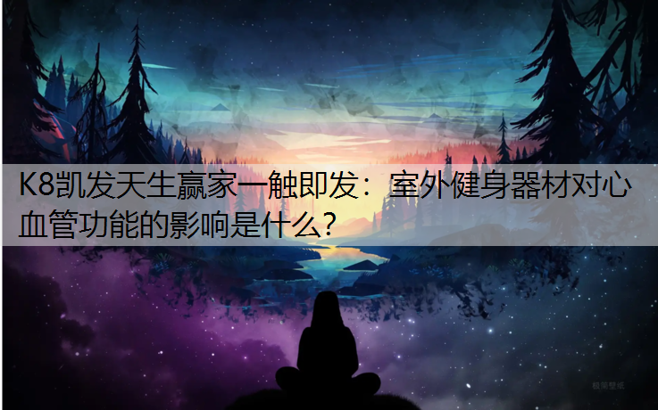 K8凯发天生赢家一触即发：室外健身器材对心血管功能的影响是什么？