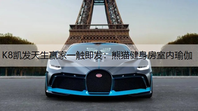 熊猫健身房室内瑜伽