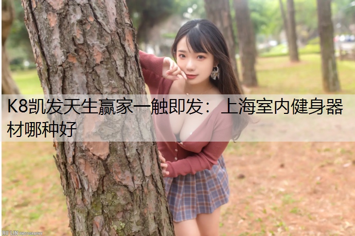 上海室内健身器材哪种好