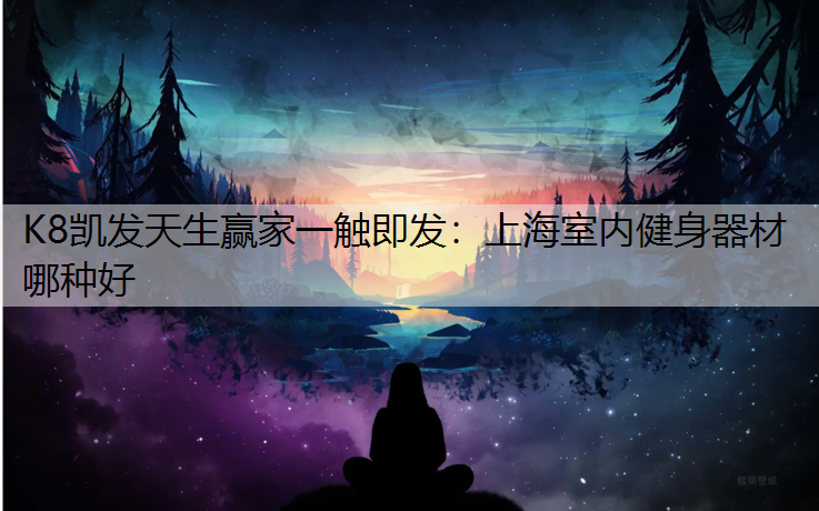 上海室内健身器材哪种好