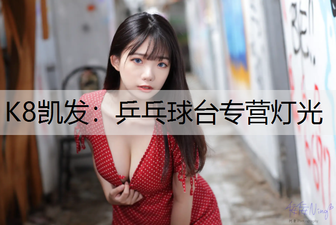 乒乓球台专营灯光