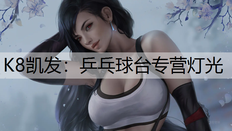 乒乓球台专营灯光