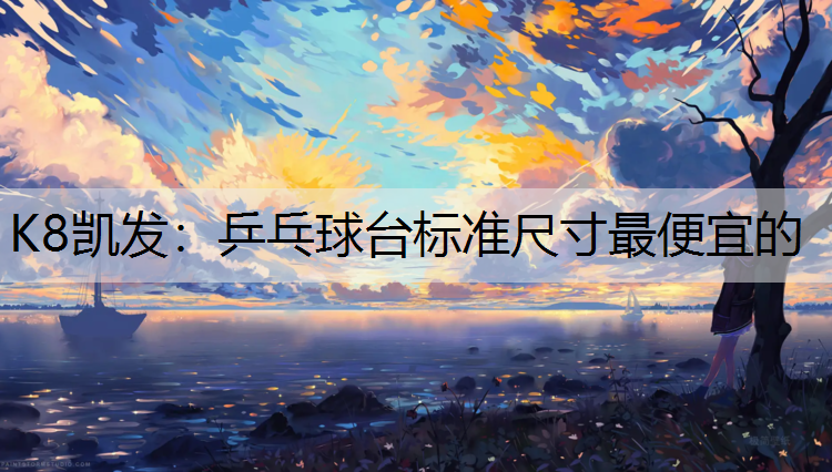 乒乓球台标准尺寸最便宜的