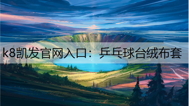 乒乓球台绒布套 乒乓球台绒布套