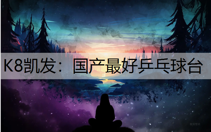 国产最好乒乓球台